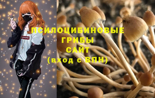 ГАЛЛЮЦИНОГЕННЫЕ ГРИБЫ Алексеевка