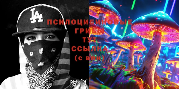 ГАЛЛЮЦИНОГЕННЫЕ ГРИБЫ Алексеевка